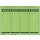 LEITZ Rückenschilder PC-beschriftbar grün 61x191mm