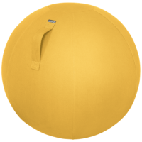 Leitz Ergo Cosy | Sitzball für aktives Sitzen 5279 (gelb)